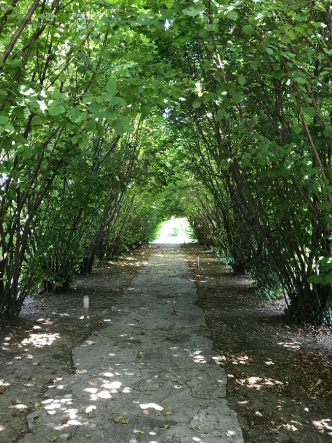 Готель Ca' Borgo Delle Rane Pernumia Екстер'єр фото